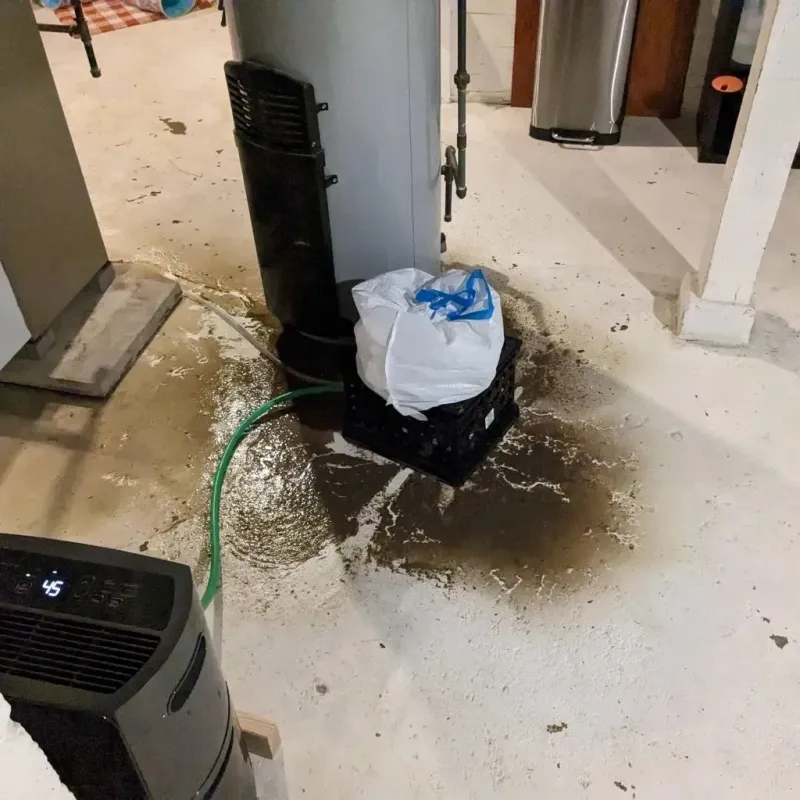 Sewage Backup Cleanup Service in Jackson, AL